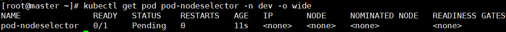 image-20250516145740558