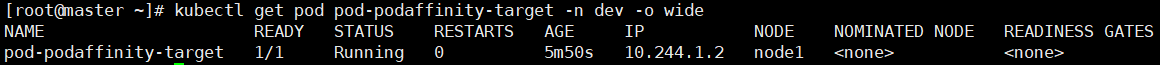 image-20250519170456832