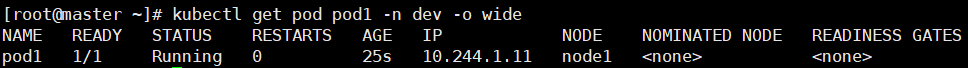 image-20250521145939513